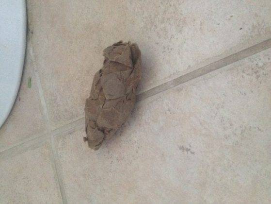 Make Believe Number 2 Toilet Tube Made into Fake Poo