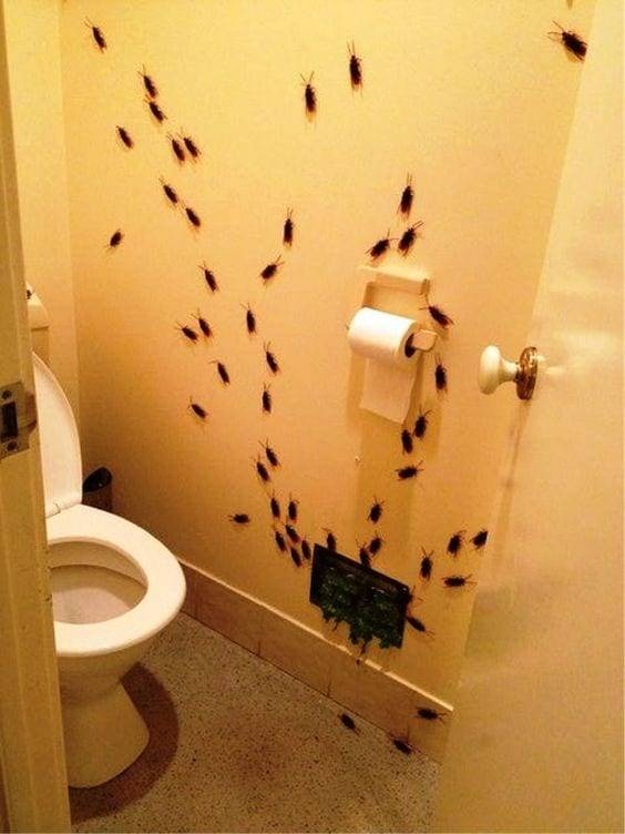 Fake Cockroaches in Toilet for Halloween Nest of Cockroaches, Fake Prop