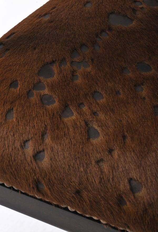 Zoomorphic Chairs - Deer Close Up Zoomorphic Chairs - Deer Close Up
