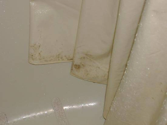 Shower Curtain Mildew